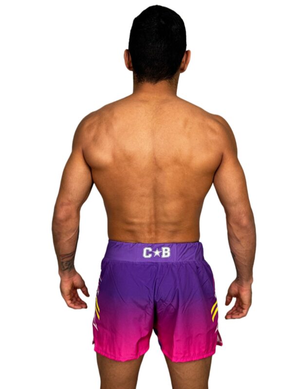 Shorts MMA - Rosa e Roxo Uniforme - Image 8